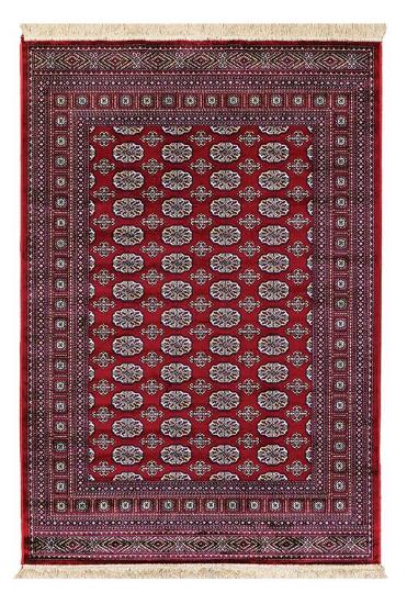 Εικόνα της NewPlan Χαλί Sonia 248/301220 - 160X230