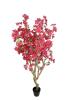 Εικόνα της Newplan Bougainvillea Np0422_170  Υψος 170Cm