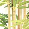Εικόνα της  Bamboo  Np824_153  Υψος 153Cm Newplan