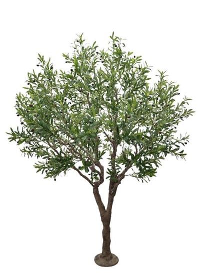 Εικόνα της Newplan Olive Tree Np496_240_Uv Υψος 240Cm