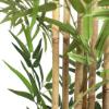 Εικόνα της  Bamboo  Np828_210_Uv  Υψος 210Cm Newplan