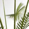 Εικόνα της NewPlan Τεχνητό Δέντρο Φοίνικας Ύψος 210cm PALM TREE  NP160_210_UV
