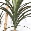 Εικόνα της Newplan Dracaena Np_325_180 Ύψος 180cm