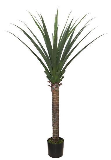 Εικόνα της Newplan Agave Tree Np802_160 Ύψος 160cm