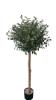 Εικόνα της Newplan Olive Tree Np5807_150_22_Uv Υψος 150Cm