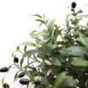 Εικόνα της Newplan Olive Tree Np5807_150_22_Uv Υψος 150Cm