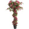 Εικόνα της Newplan BougainvilleaNp_34_160 Ύψος 160cm