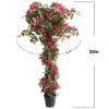 Εικόνα της Newplan BougainvilleaNp_34_160 Ύψος 160cm
