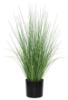 Εικόνα της Newplan Onion Grass TreeNp1009_60 Ύψος 60cm