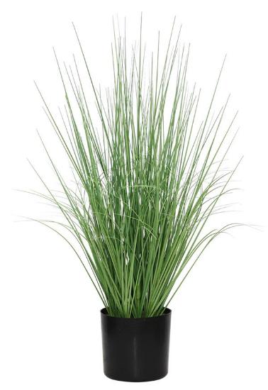Εικόνα της Newplan Onion Grass TreeNp1009_60 Ύψος 60cm