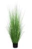 Εικόνα της Newplan Onion Grass Tree  Np1011_120 Υψος 120Cm