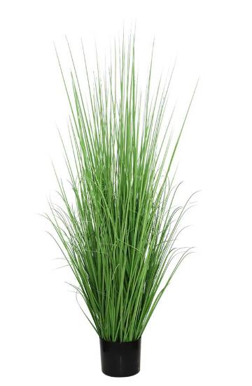Εικόνα της Newplan Onion Grass Tree  Np1011_120 Υψος 120Cm