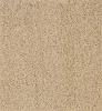 Εικόνα της NewPlan Πλαστικό Δάπεδο Spaghetti 15mm Beige 1.22M (τετραγωνικό)