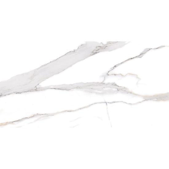 Εικόνα της Bagno Tiles Πλακάκι Swan Satvario 60X120Cm