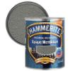 Εικόνα της Hammerite Χρώμα 3 σε 1 Απευθείας στην Σκουριά Σφυρήλατο Ασημί