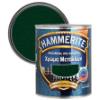 Εικόνα της Hammerite Χρώμα 3 σε 1 Απευθείας στην Σκουριά Σφυρήλατο Κυπαρισσί